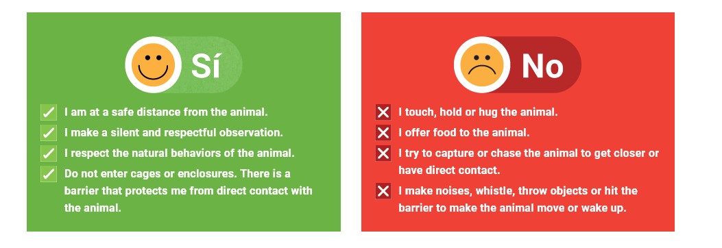 animalselfierules